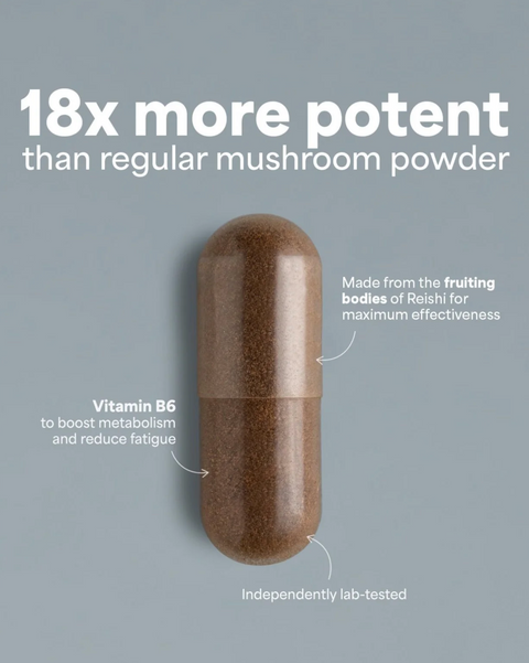 SOOO calm: Reishi extract 15-18:1