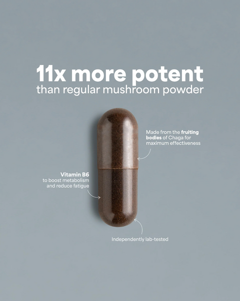 SOOO immune: Chaga extract 9-11:1