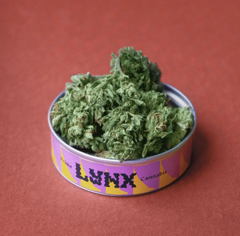 Lynx Prime + Lynx Potpourri Bundle