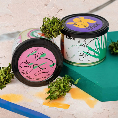 Herbata konopna Lynx