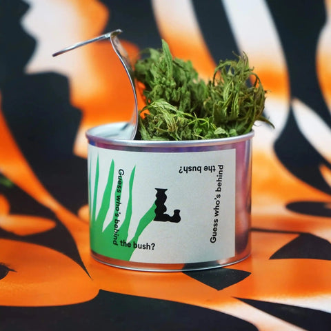 Lynx Hemp Tea + Lynx Prime