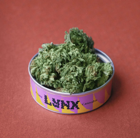 Lynx Hemp Tea + Lynx Prime